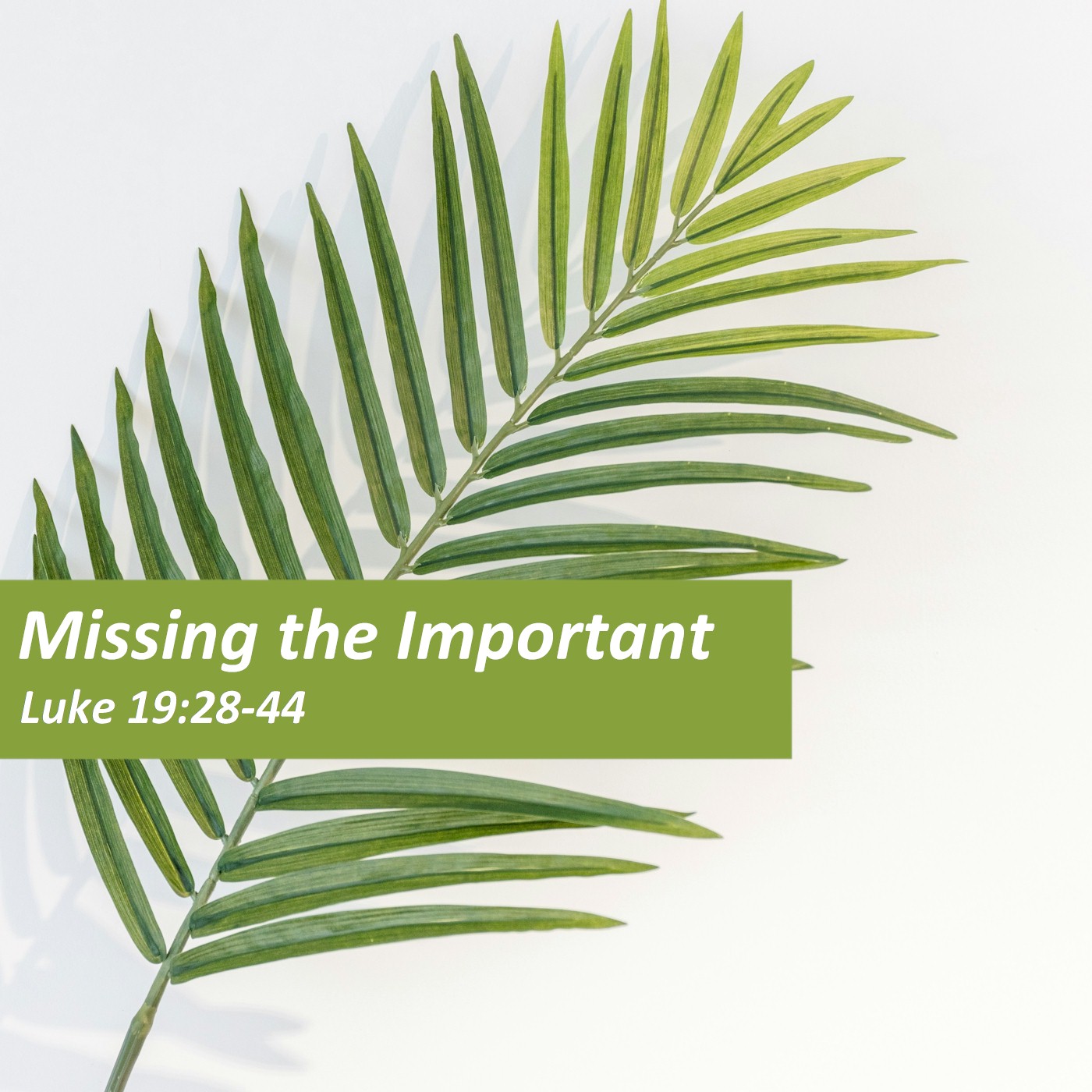 Palm Sunday – Missing the Important episode artwork